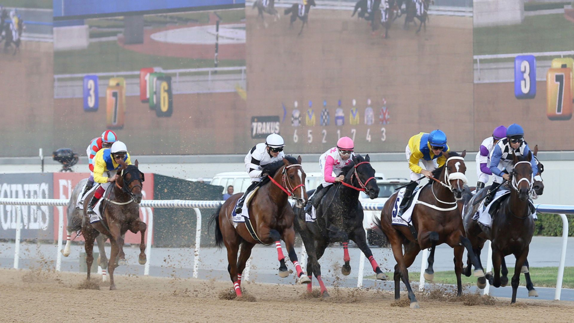 Indulge in VIP Luxury at the Dubai World Cup