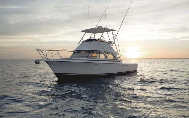 Bertram 35 Flybridge sportfish 