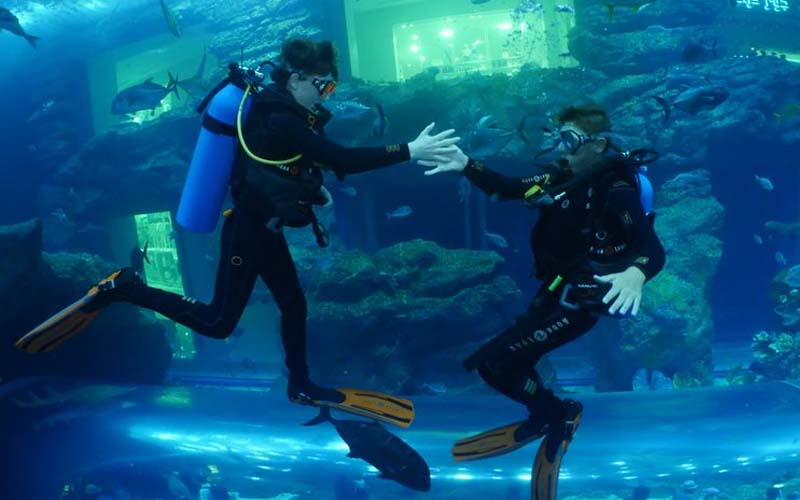 Swimming and Snorkeling