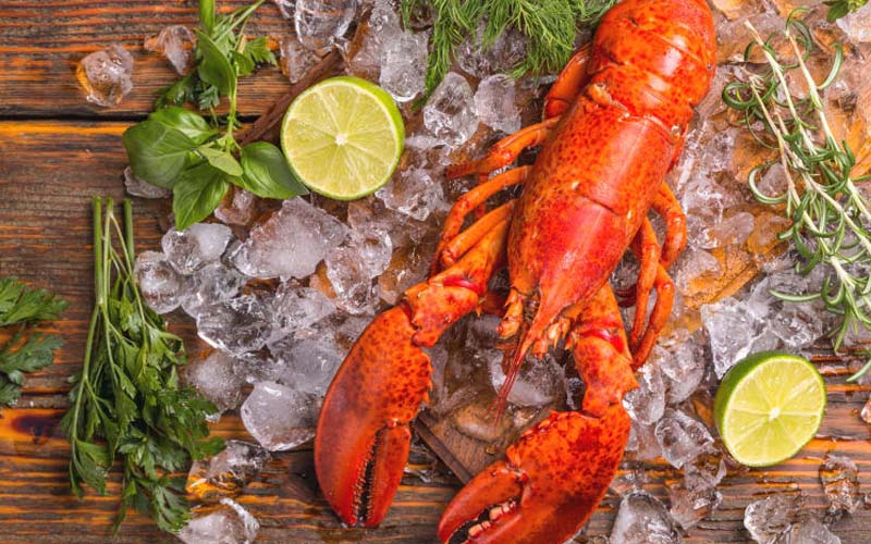Lobster